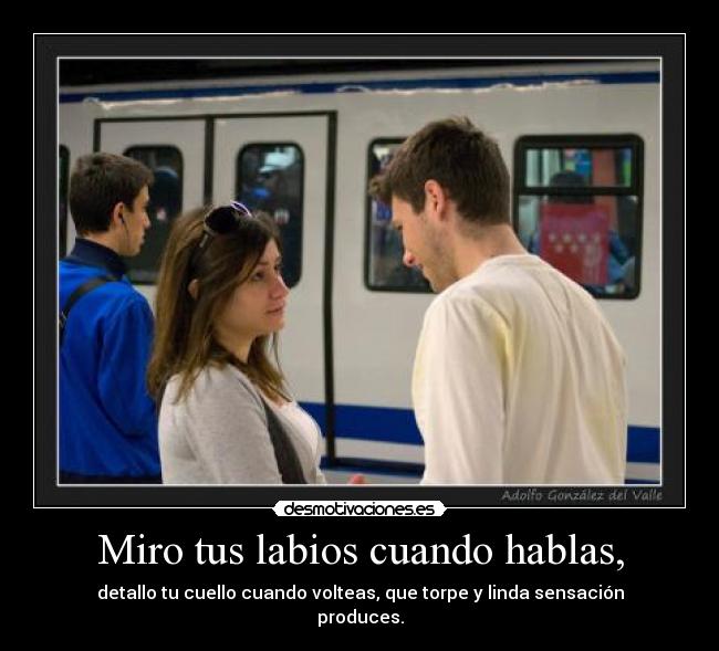 Miro tus labios cuando hablas, - detallo tu cuello cuando volteas, que torpe y linda sensación
produces.