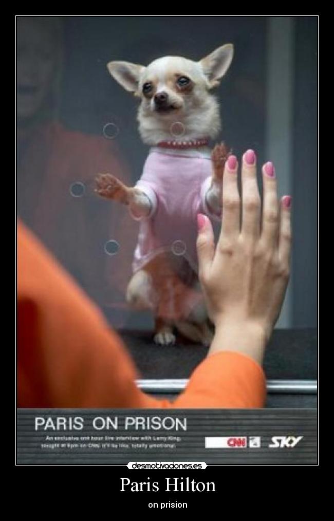 Paris Hilton - on prision