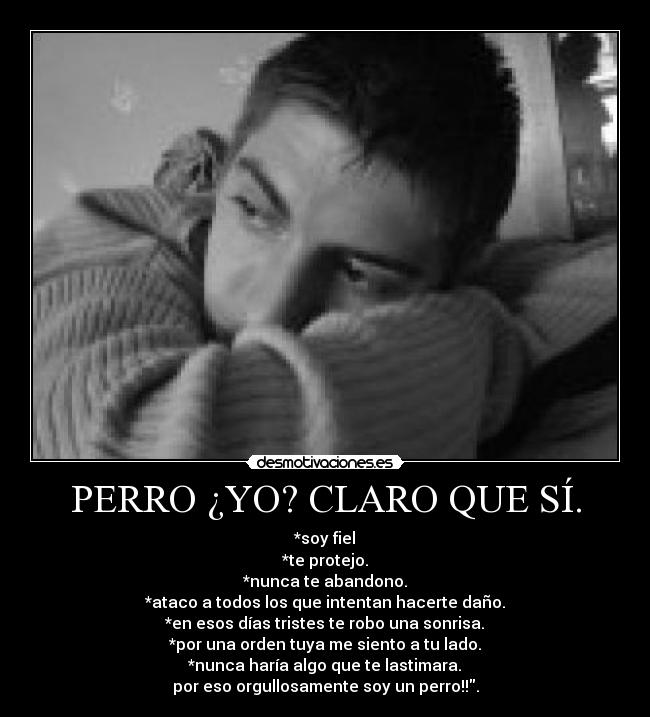 PERRO ¿YO? CLARO QUE SÍ. - *soy fiel
*te protejo.
*nunca te abandono.
*ataco a todos los que intentan hacerte daño.
*en esos días tristes te robo una sonrisa.
*por una orden tuya me siento a tu lado.
*nunca haría algo que te lastimara.
por eso orgullosamente soy un perro!!.