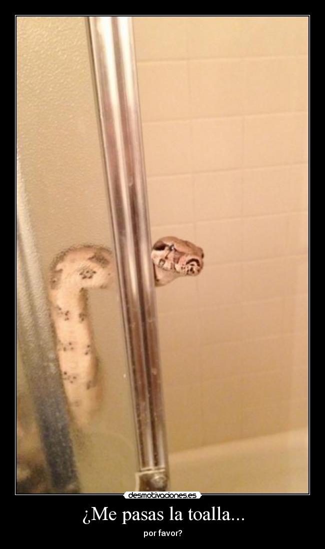 ¿Me pasas la toalla... -