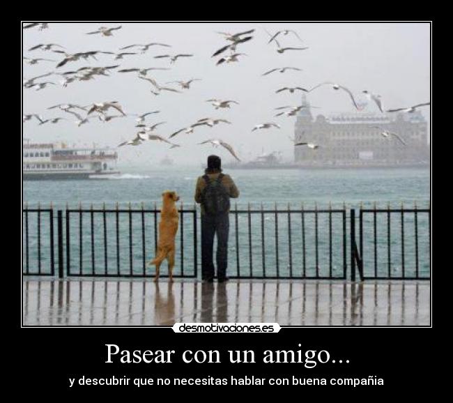 Pasear con un amigo... - y descubrir que no necesitas hablar con buena compañia
