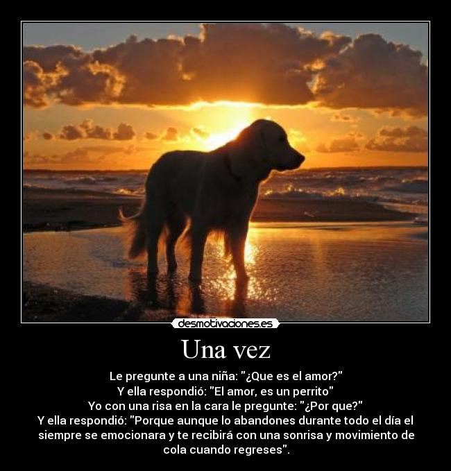 Una vez - Le pregunte a una niña: ¿Que es el amor?
Y ella respondió: El amor, es un perrito
Yo con una risa en la cara le pregunte: ¿Por que?
Y ella respondió: Porque aunque lo abandones durante todo el día el
siempre se emocionara y te recibirá con una sonrisa y movimiento de
cola cuando regreses.