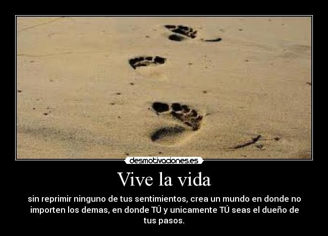 carteles vida aitana7 desmotivaciones