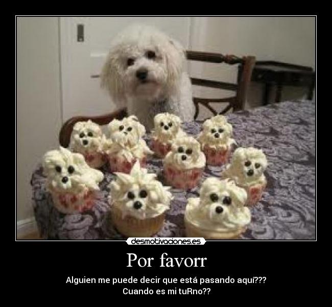 Por favorr - Alguien me puede decir que está pasando aquí???
Cuando es mi tuRno??