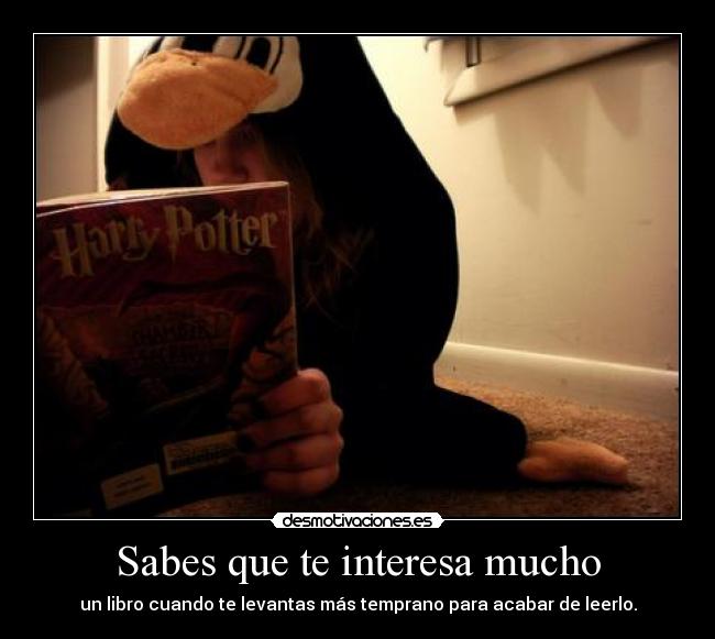 Sabes que te interesa mucho - 