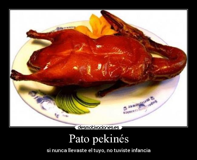 carteles pato pekines desmotivaciones