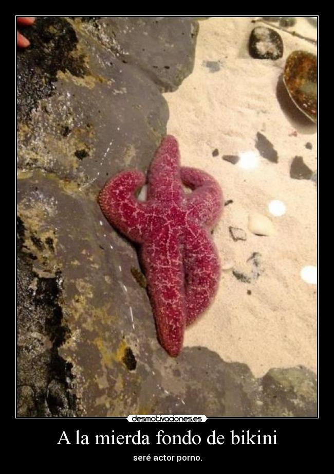 carteles pienso desmotivaciones