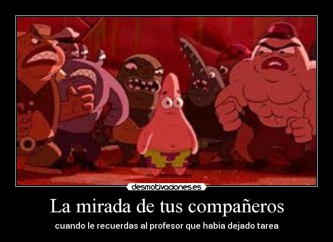 La mirada de tus compañeros - 