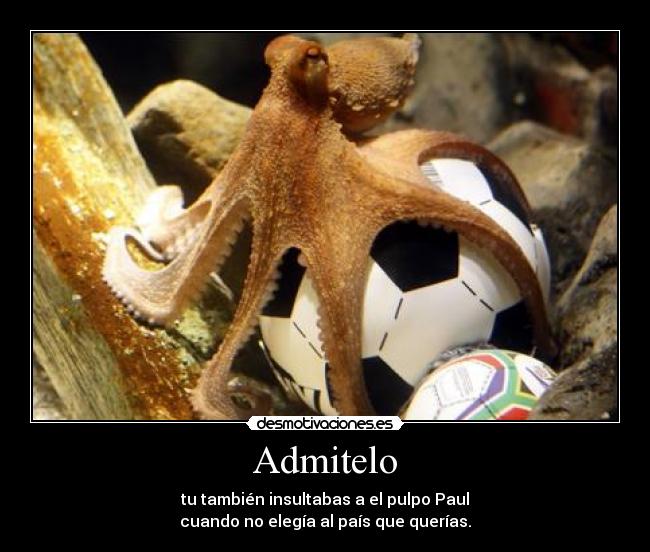 Admitelo - tu también insultabas a el pulpo Paul
cuando no elegía al país que querías.