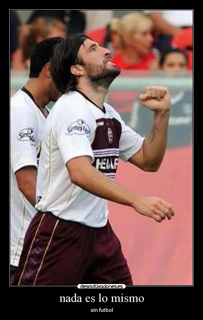 carteles pavone desmotivaciones