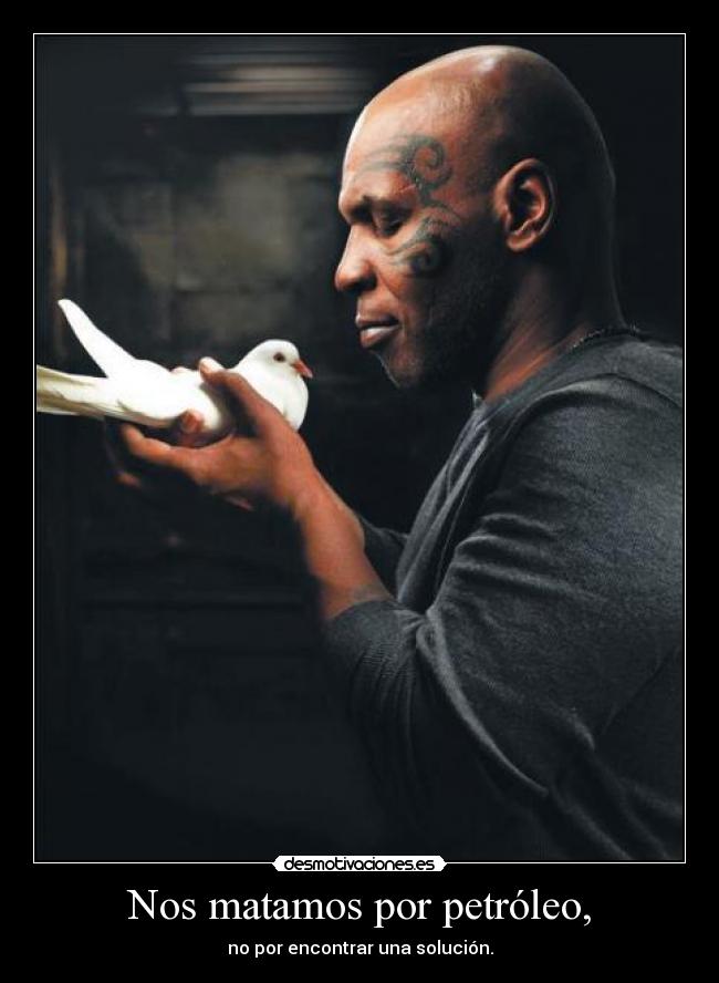 carteles cdg todos hacen que dicen ser humano docil prefieren dolares vida desmotivaciones