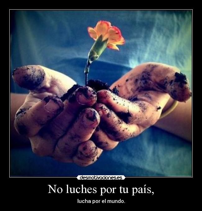 No luches por tu país, - 