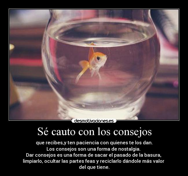 Sé cauto con los consejos - que recibes,y ten paciencia con quienes te los dan.
Los consejos son una forma de nostalgia. 
Dar consejos es una forma de sacar el pasado de la basura, 
limpiarlo, ocultar las partes feas y reciclarlo dándole más valor 
del que tiene.