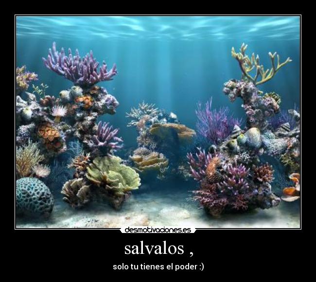 salvalos , - solo tu tienes el poder :)