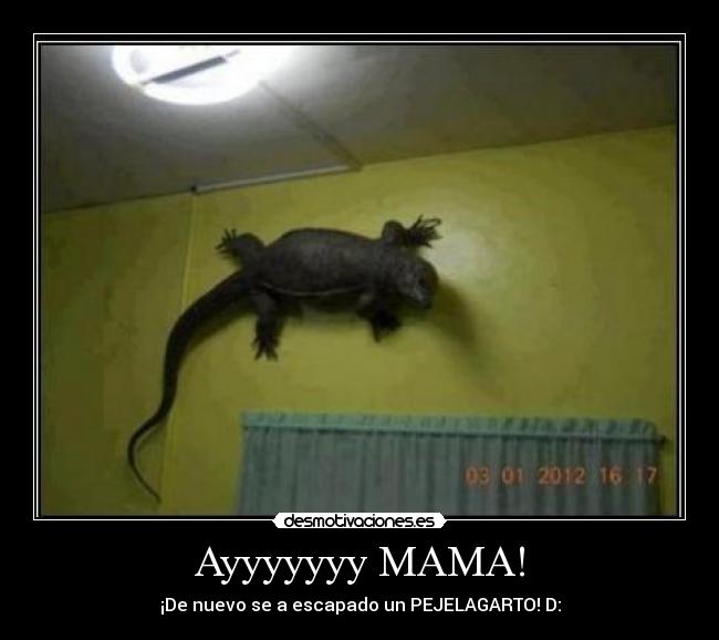 Ayyyyyyy MAMA! -