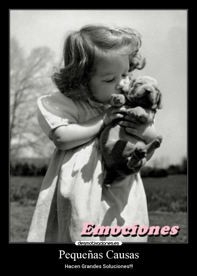 Pequeñas Causas - Hacen Grandes Soluciones!!!