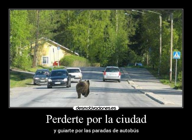 carteles eften ostia oso desmotivaciones