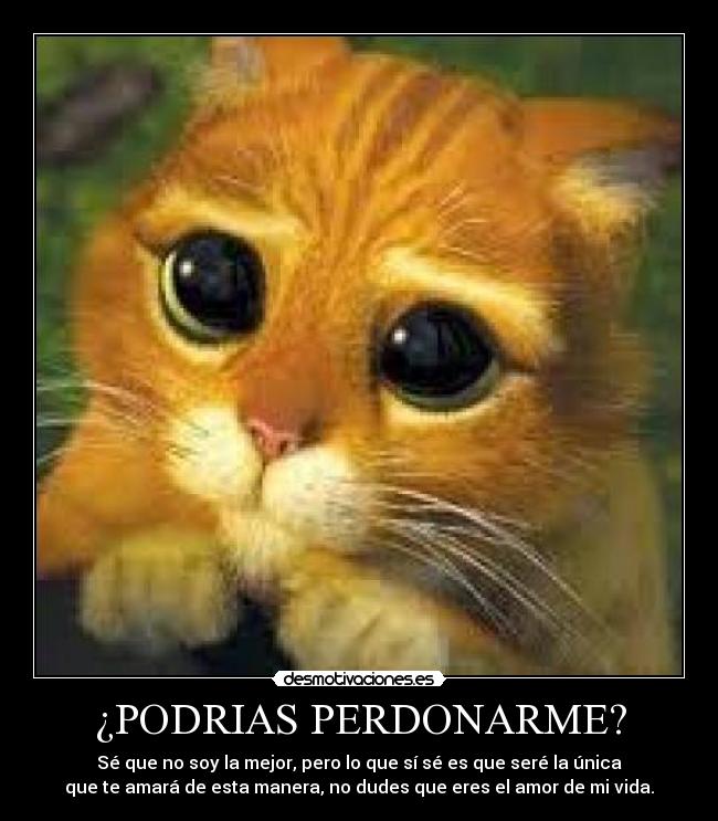 ¿PODRIAS PERDONARME? - Sé que no soy la mejor, pero lo que sí sé es que seré la única
que te amará de esta manera, no dudes que eres el amor de mi vida.