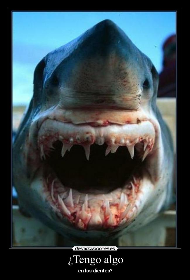 carteles dientes lindos sangre desmotivaciones