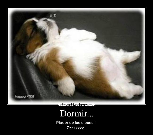 Dormir... - Placer de los dioses!!
Zzzzzzzz...