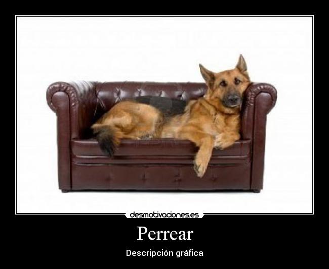 Perrear -