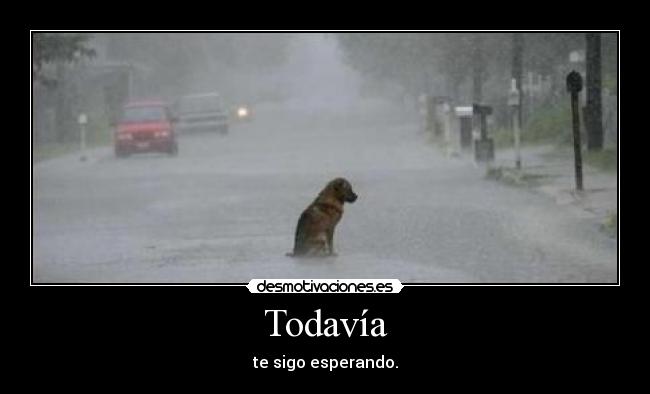 Todavía - te sigo esperando.