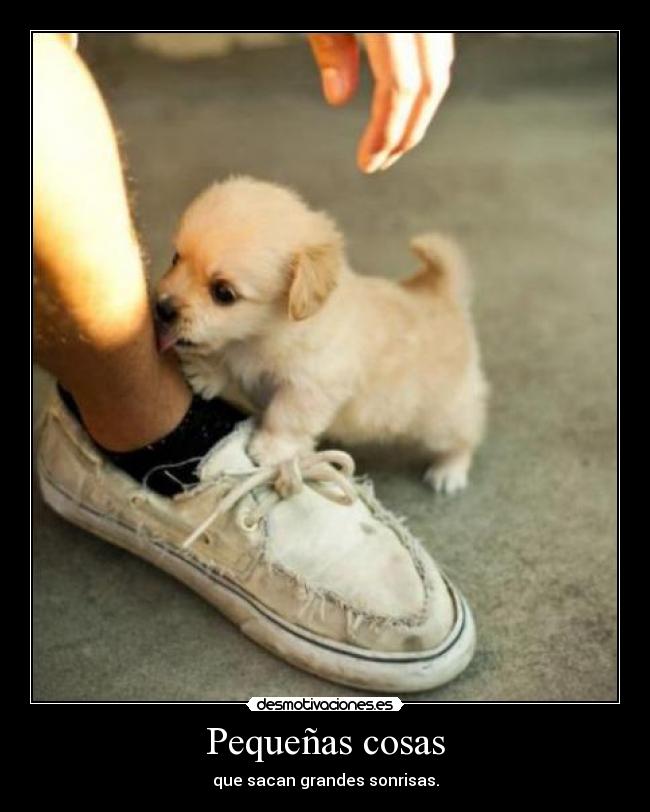 Pequeñas cosas -