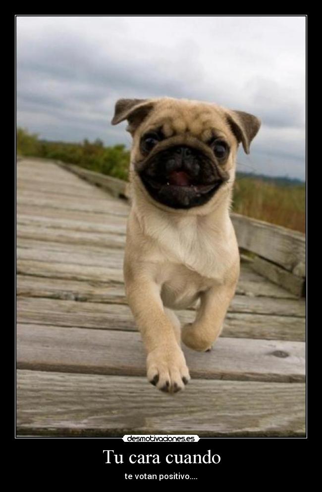 Tu cara cuando - 