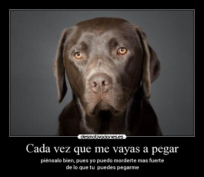 carteles pobre desmotivaciones