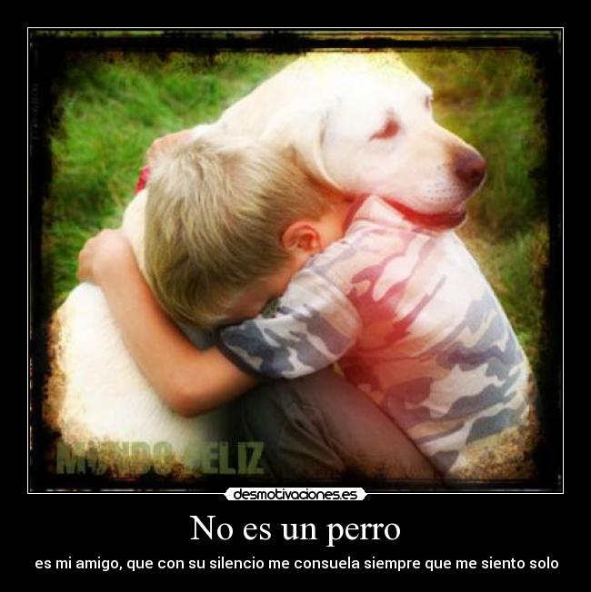 No es un perro -
