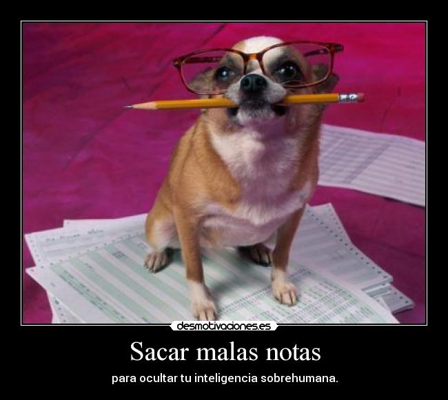 Sacar malas notas - 