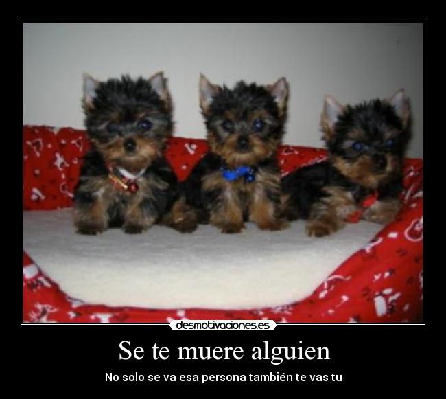 Se te muere alguien - No solo se va esa persona también te vas tu