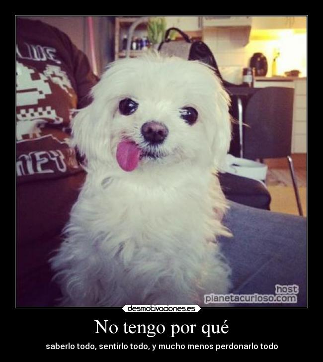 No tengo por qué - saberlo todo, sentirlo todo, y mucho menos perdonarlo todo