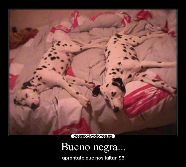 Bueno negra... - aprontate que nos faltan 93