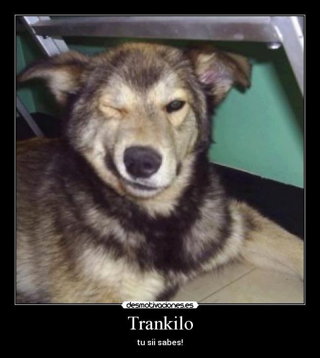 Trankilo - 