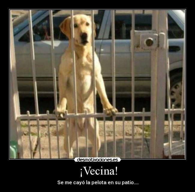 ¡Vecina! - 