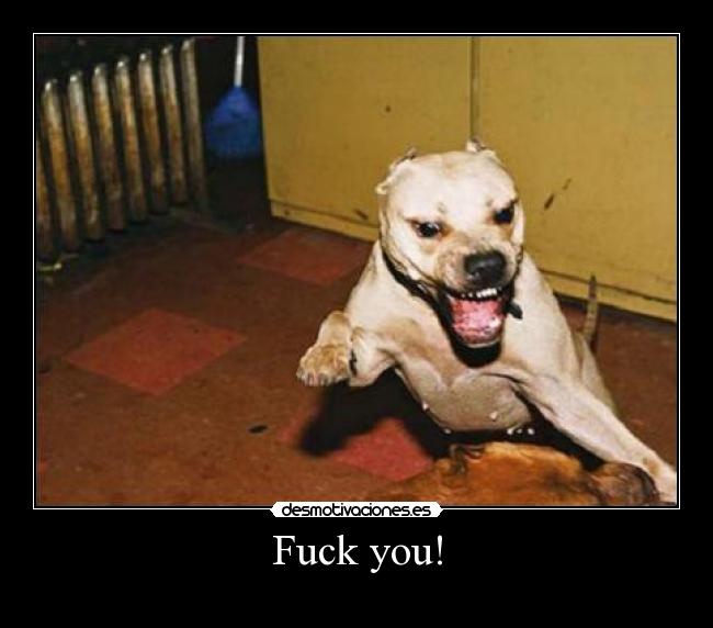 carteles perros fuck you desmotivaciones