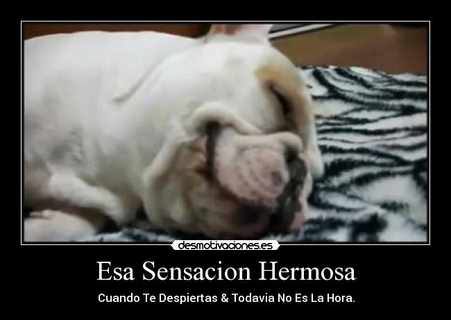 Esa Sensacion Hermosa - Cuando Te Despiertas & Todavia No Es La Hora.