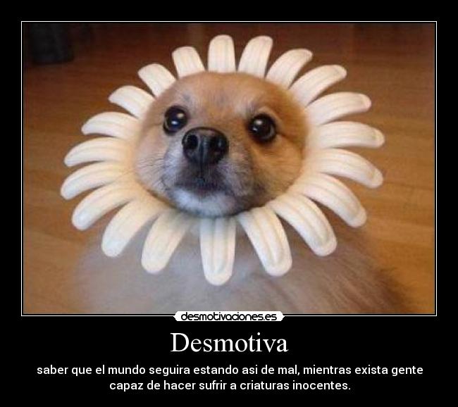 Desmotiva - 