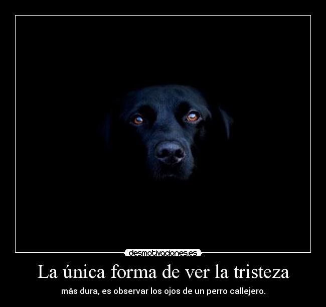 La única forma de ver la tristeza -