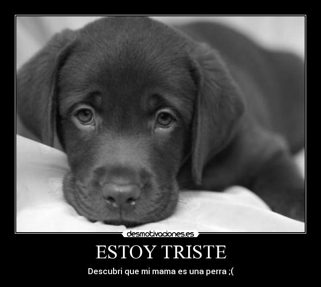 carteles yoj desmotivaciones