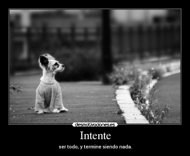 Intente - 