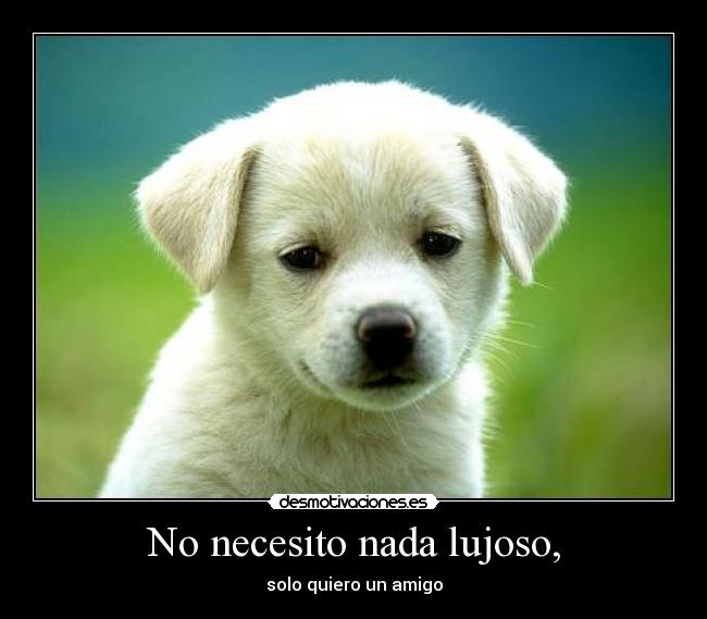No necesito nada lujoso, - 