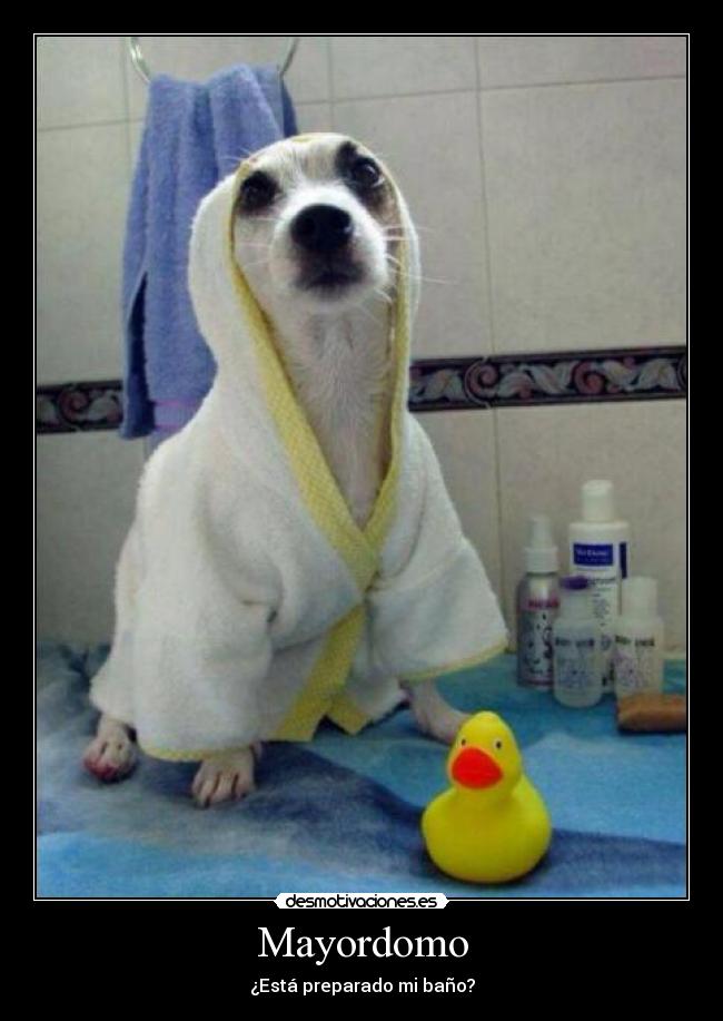 Mayordomo -