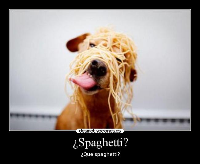 ¿Spaghetti? -