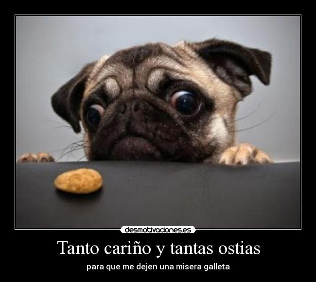 Tanto cariño y tantas ostias - para que me dejen una misera galleta