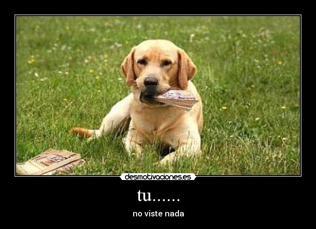 tu...... - no viste nada
