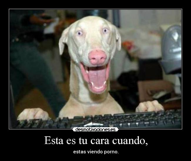 Esta es tu cara cuando, - estas viendo porno.