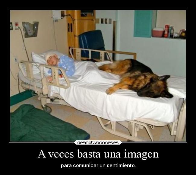 A veces basta una imagen - para comunicar un sentimiento.