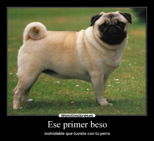 carteles jkfdhfiouhiwehuiewrheu desmotivaciones